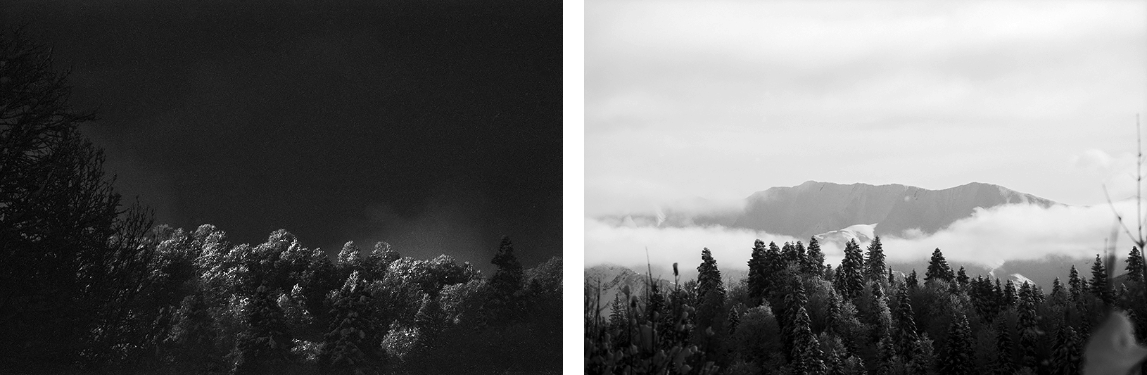 Katharina Ya, Black White and Snow