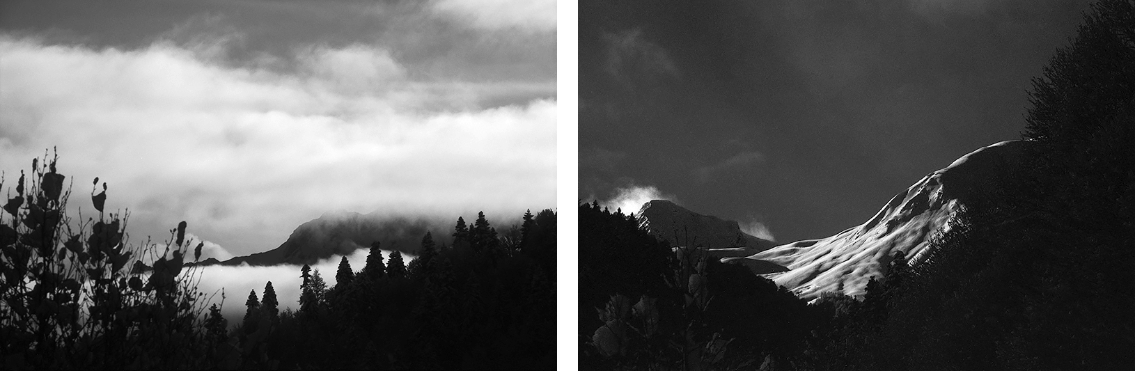 Katharina Ya, Black White and Snow
