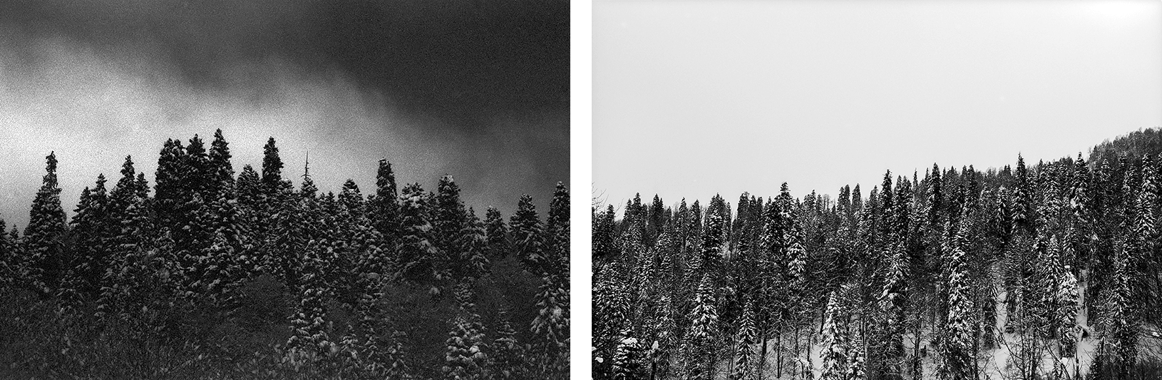Katharina Ya, Black White and Snow