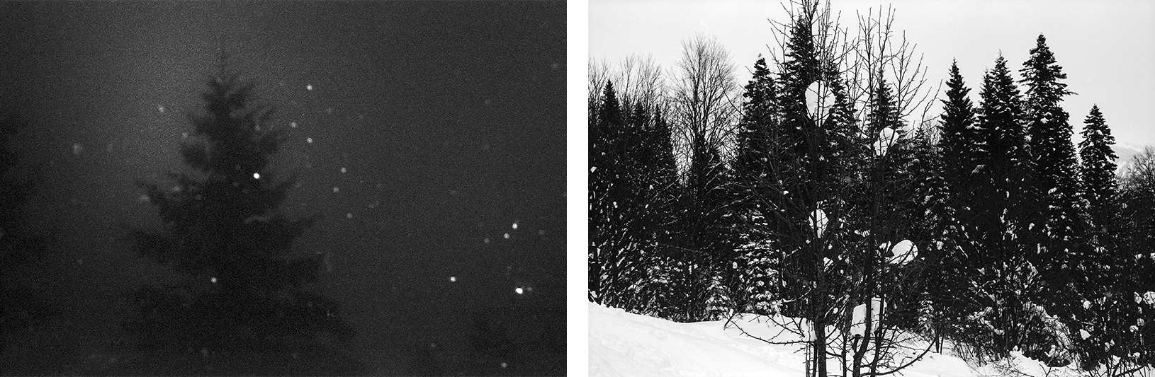 Katharina Ya, Black White and Snow